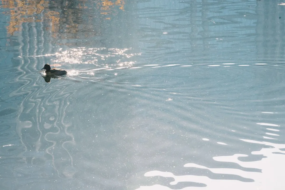 産経デジタル採用サイト