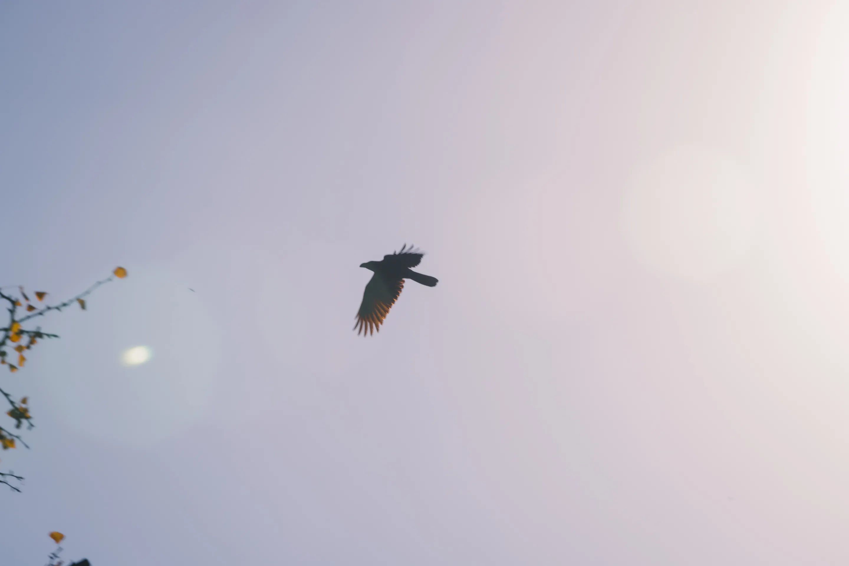 産経デジタル採用サイトの水